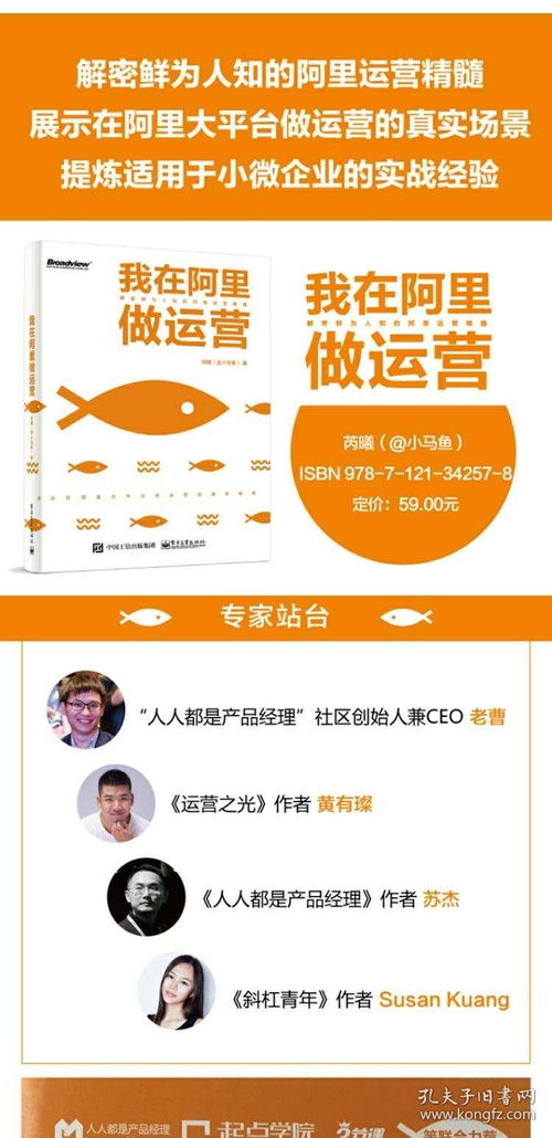 阿里巴巴管理之道 从文化到数据，解锁互联网企业运营新篇章